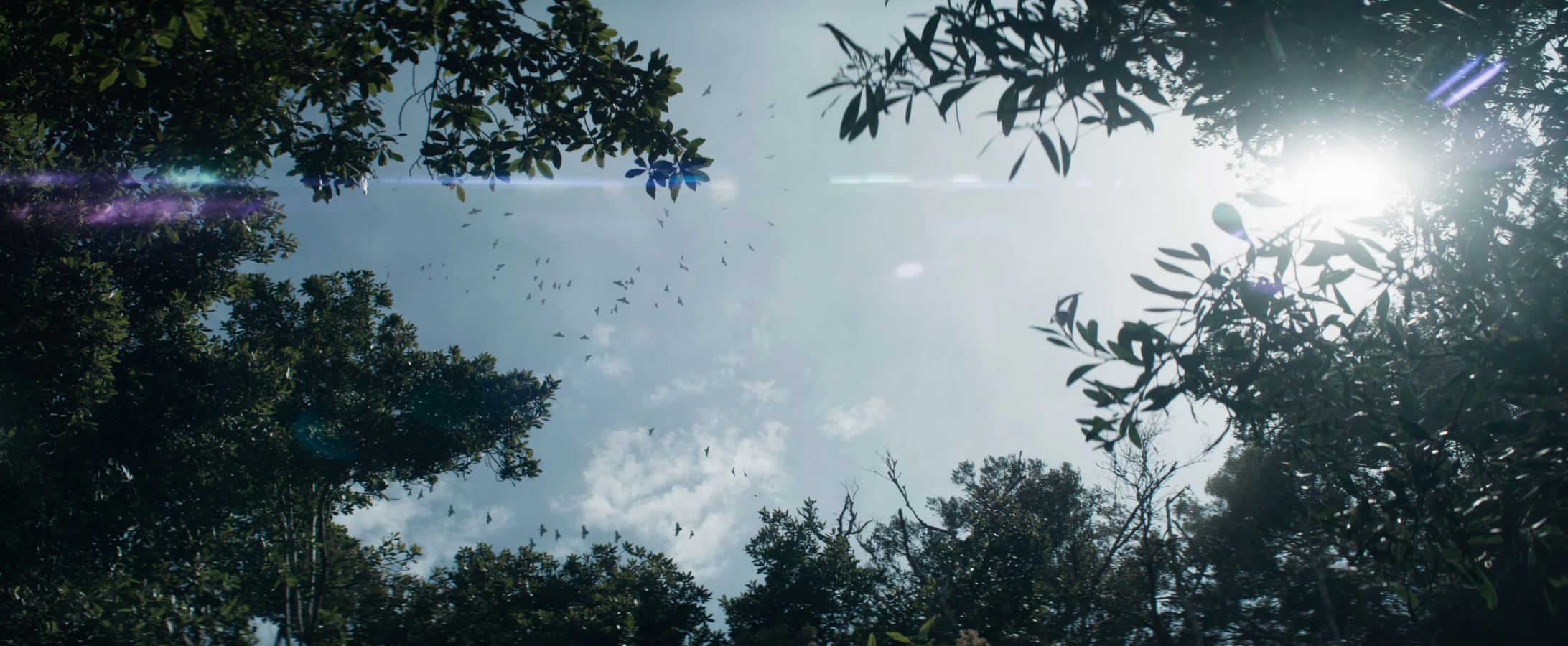 invasion raynault visual effects birds
