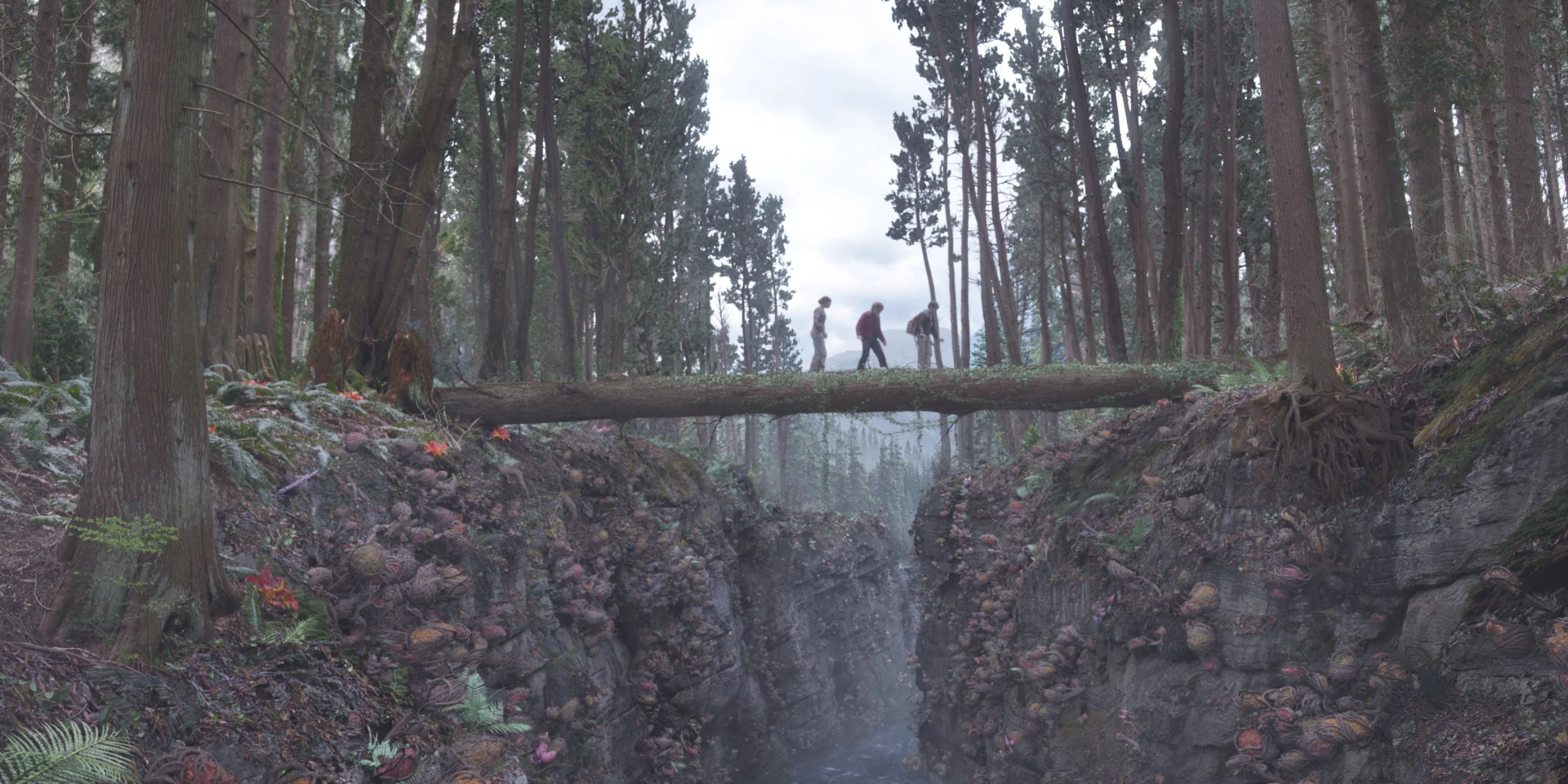 Lost in Space S01 forest view shot Raynault vfx