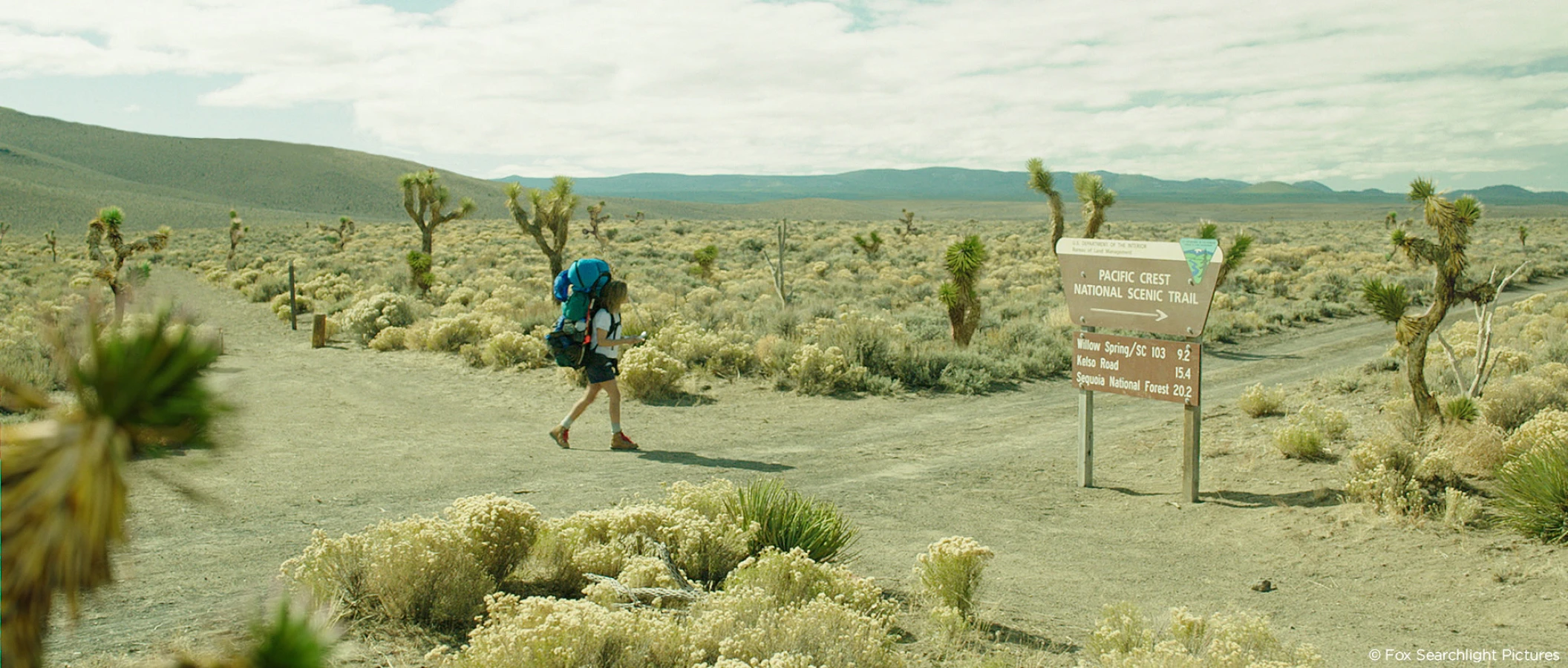 Shot from Wild Raynault vfx