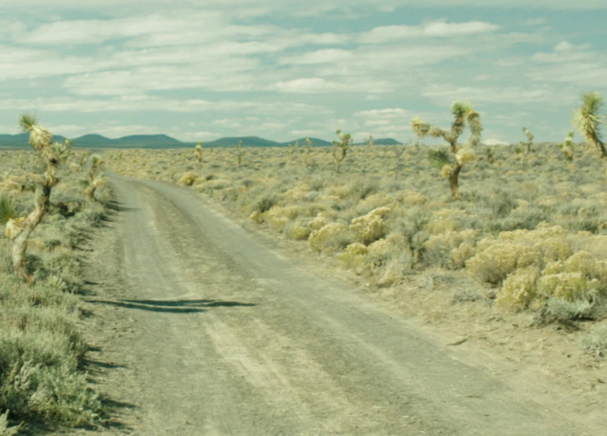 Wild shot scene from raynault vfx