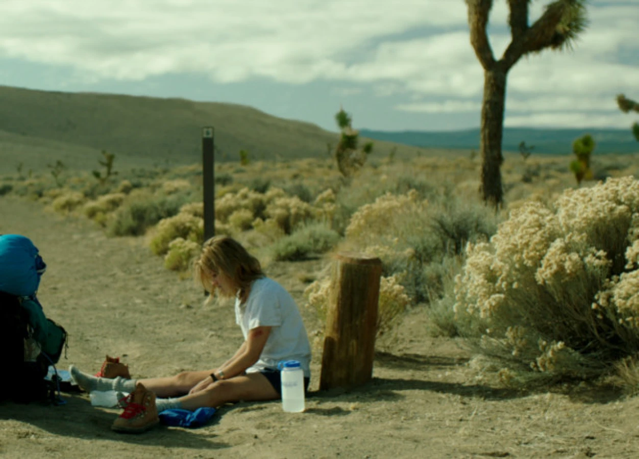 Shot scene from Wild Raynault vfx