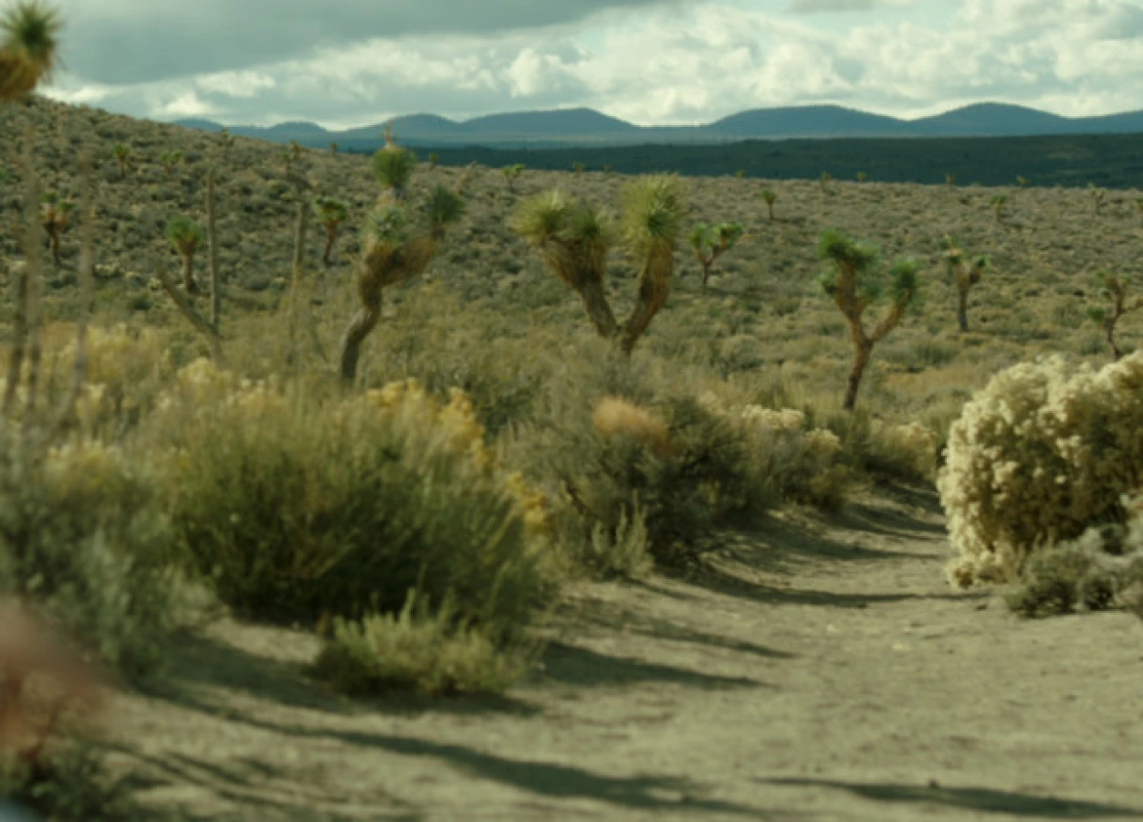 Shot scene Wild Path in the desert Raynault vfx