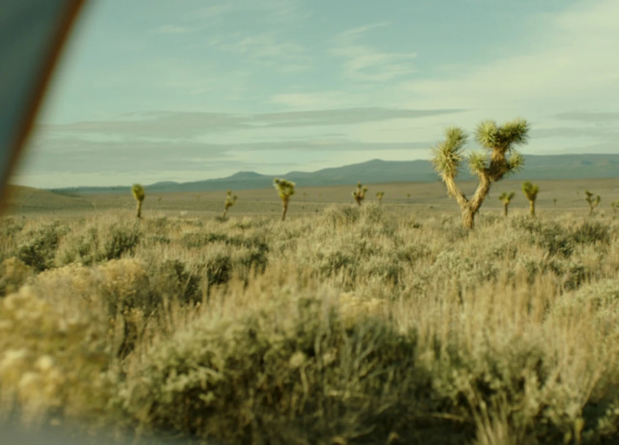 Shot view of desert from Raynault vfx