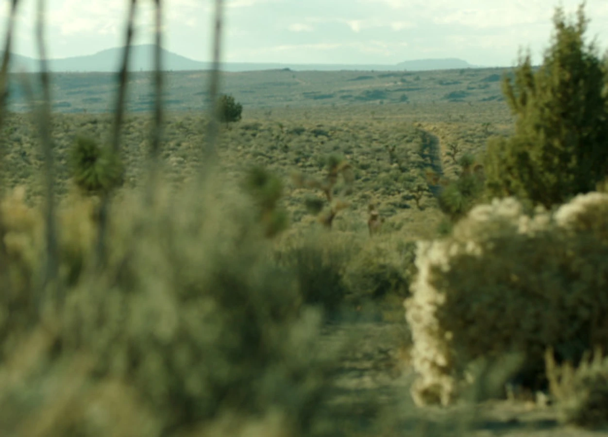 Wild shot of the desert from Raynault vfx