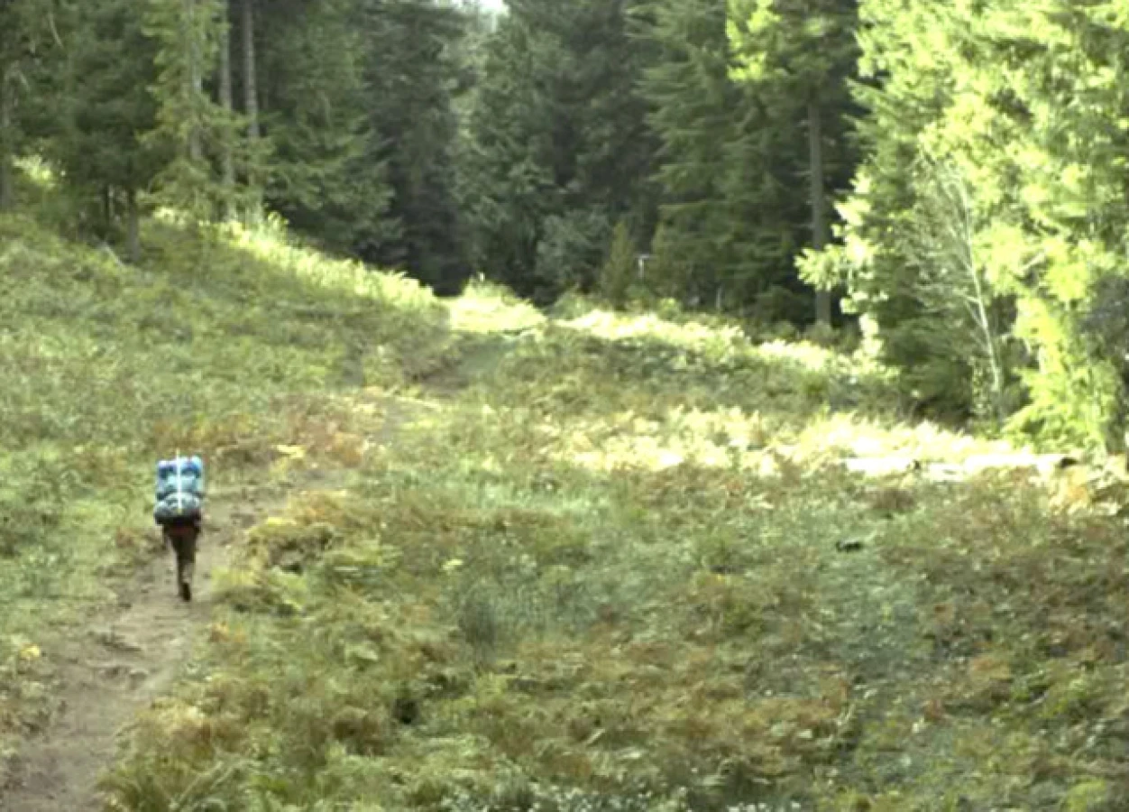 Wild Reese Witherspoon walking on hill from Raynault vfx